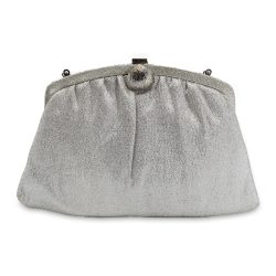 silver evening bag