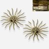 Sarah Coventry Jewelry mark Sarah Coventry earrings