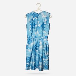 Polished cotton blue and white dress