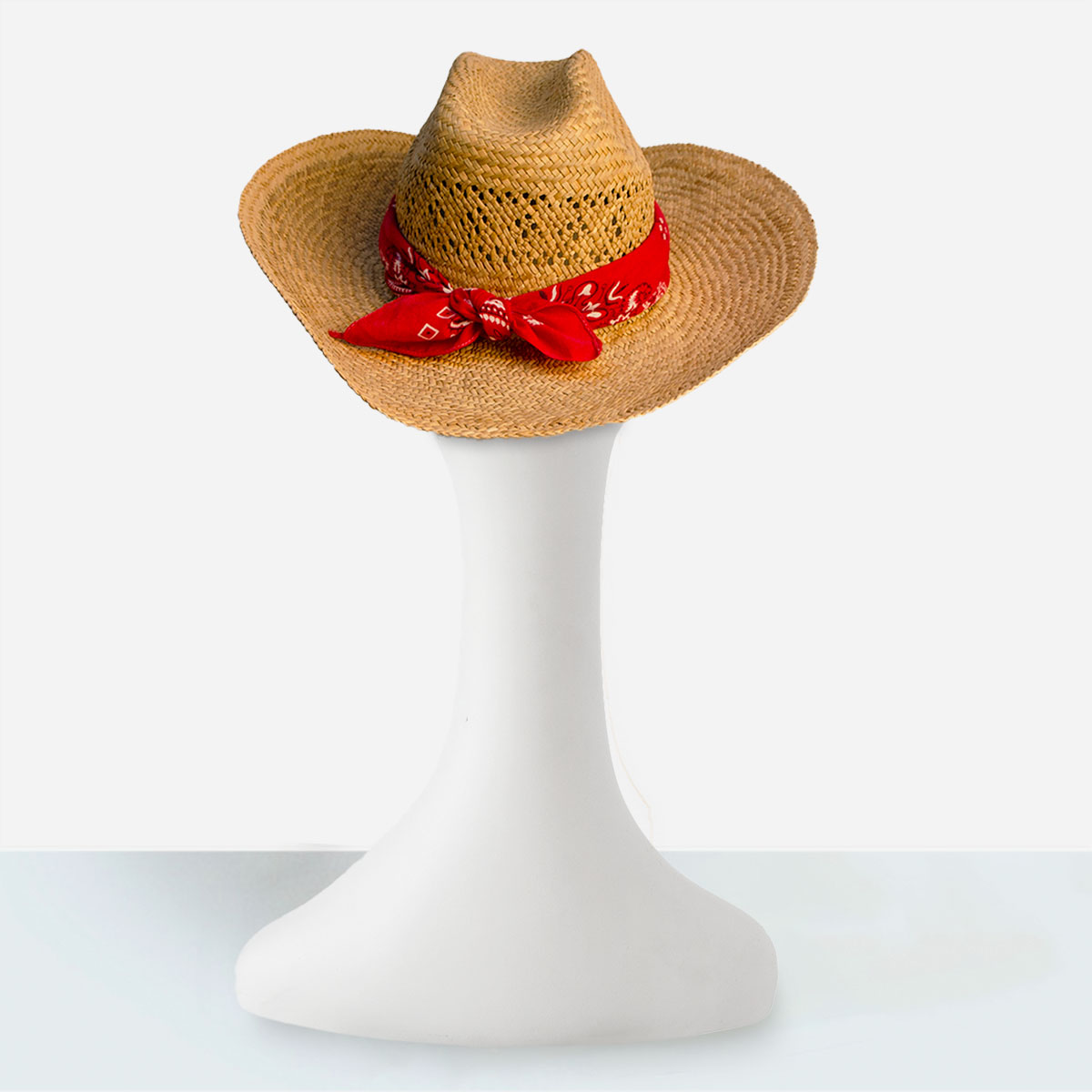 womens Cowboy hat with bandana
