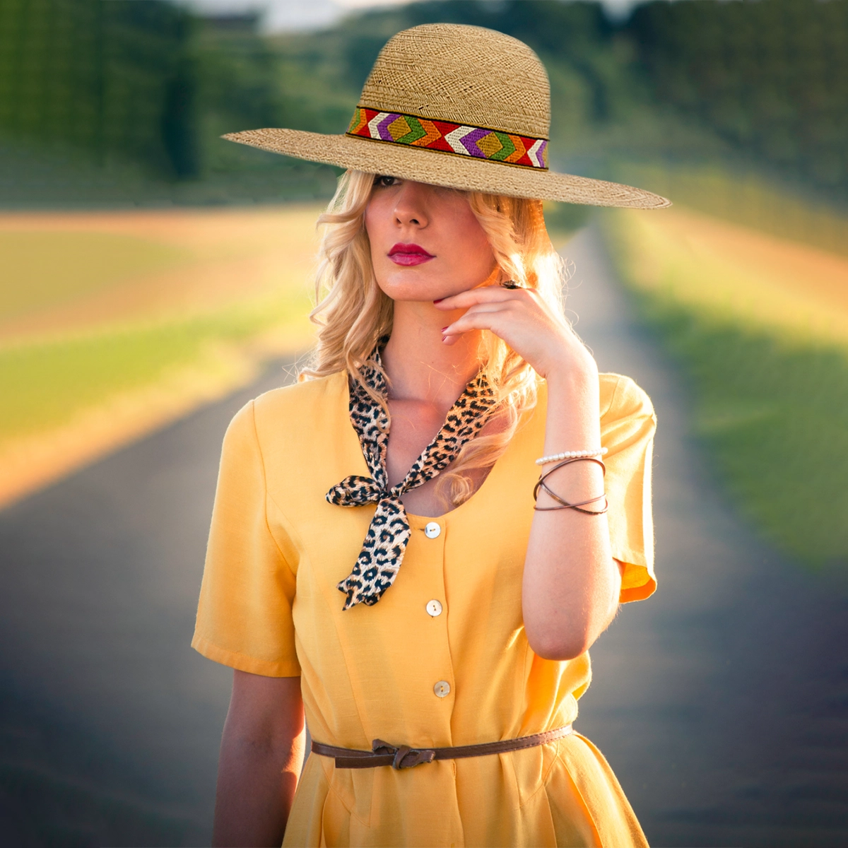 Wide brim Western style hat