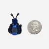 Vintage Warner blue rhinestone insect brooch shown next to coin for size comparison